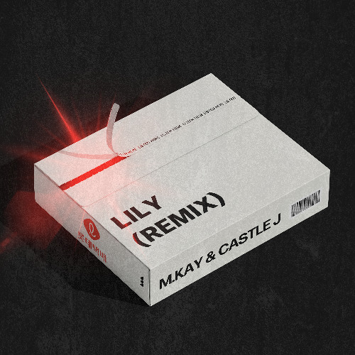 M.KAY & CASTLE  J - Lily (Remix) +1key