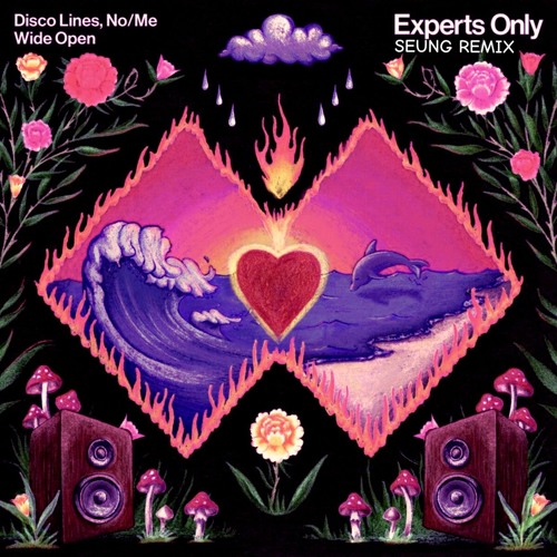 Disco Lines, No/Me - Wide Open (SEUNG Remix)